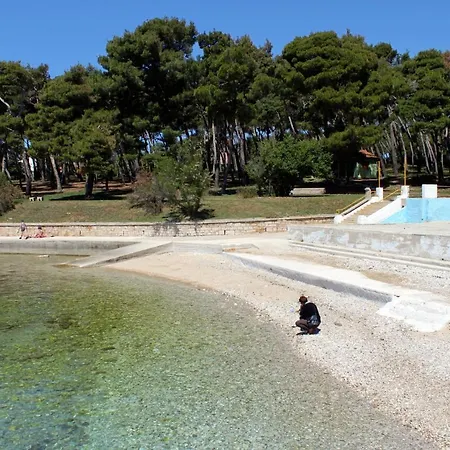 With Wifi - 13049 Πούλα