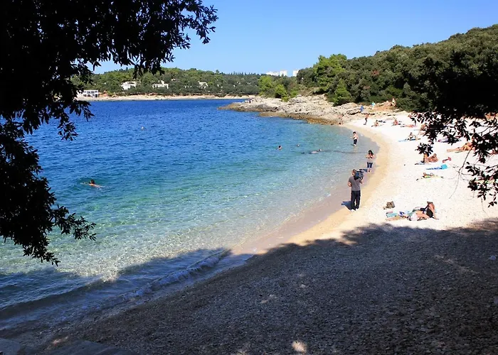 With Wifi - 13049 Πούλα